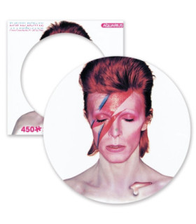 PUZLE PORTADA DISCO ALADDIN SANE 450 PIEZAS