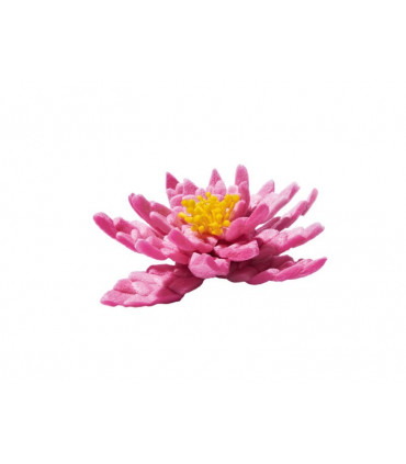 Cubo FischerTip 600 Multicolor